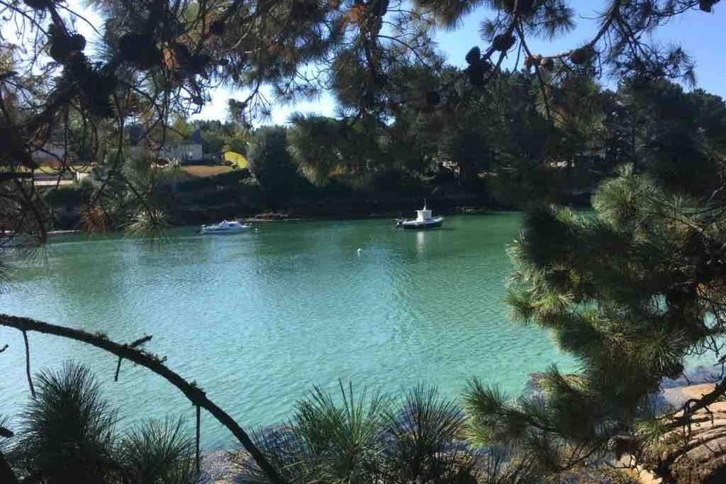 L'Olivier Du Cabellou, A 900 M Des Plages Villa Concarneau Buitenkant foto