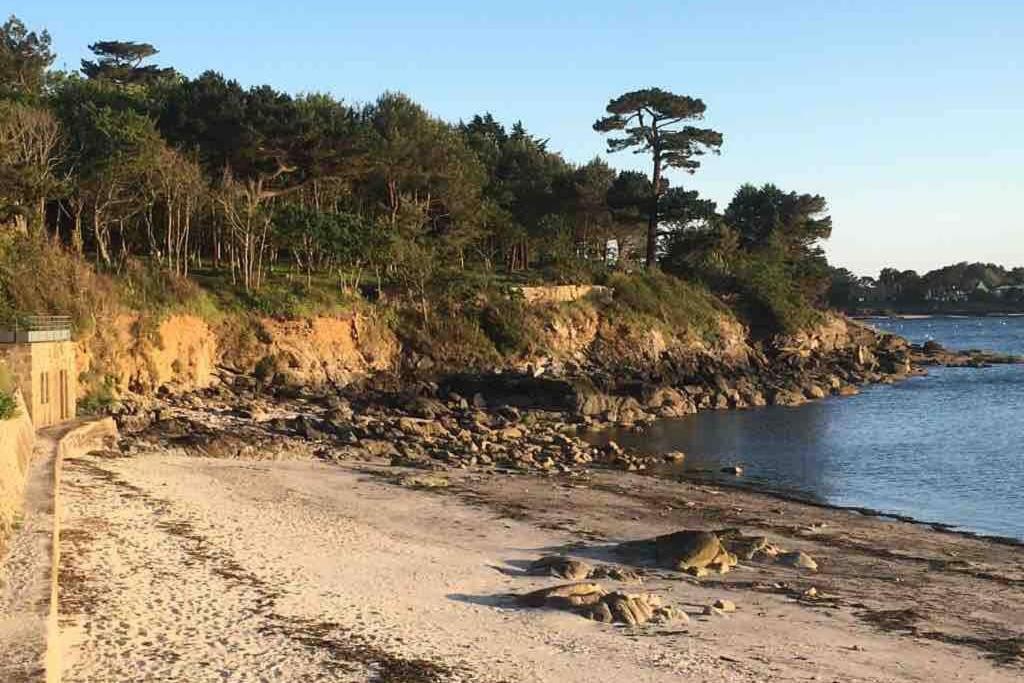 L'Olivier Du Cabellou, A 900 M Des Plages Concarneau Buitenkant foto
