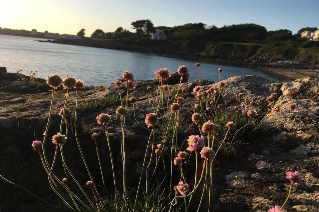 L'Olivier Du Cabellou, A 900 M Des Plages Villa Concarneau Buitenkant foto